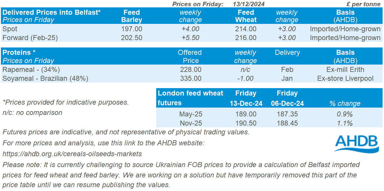 Table showing prices for grain delivered into Belfast as of 13 12 2024.